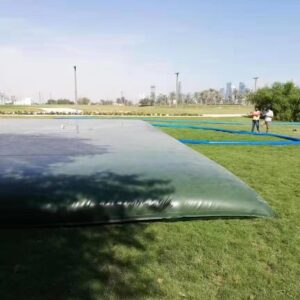 pillow water bladder